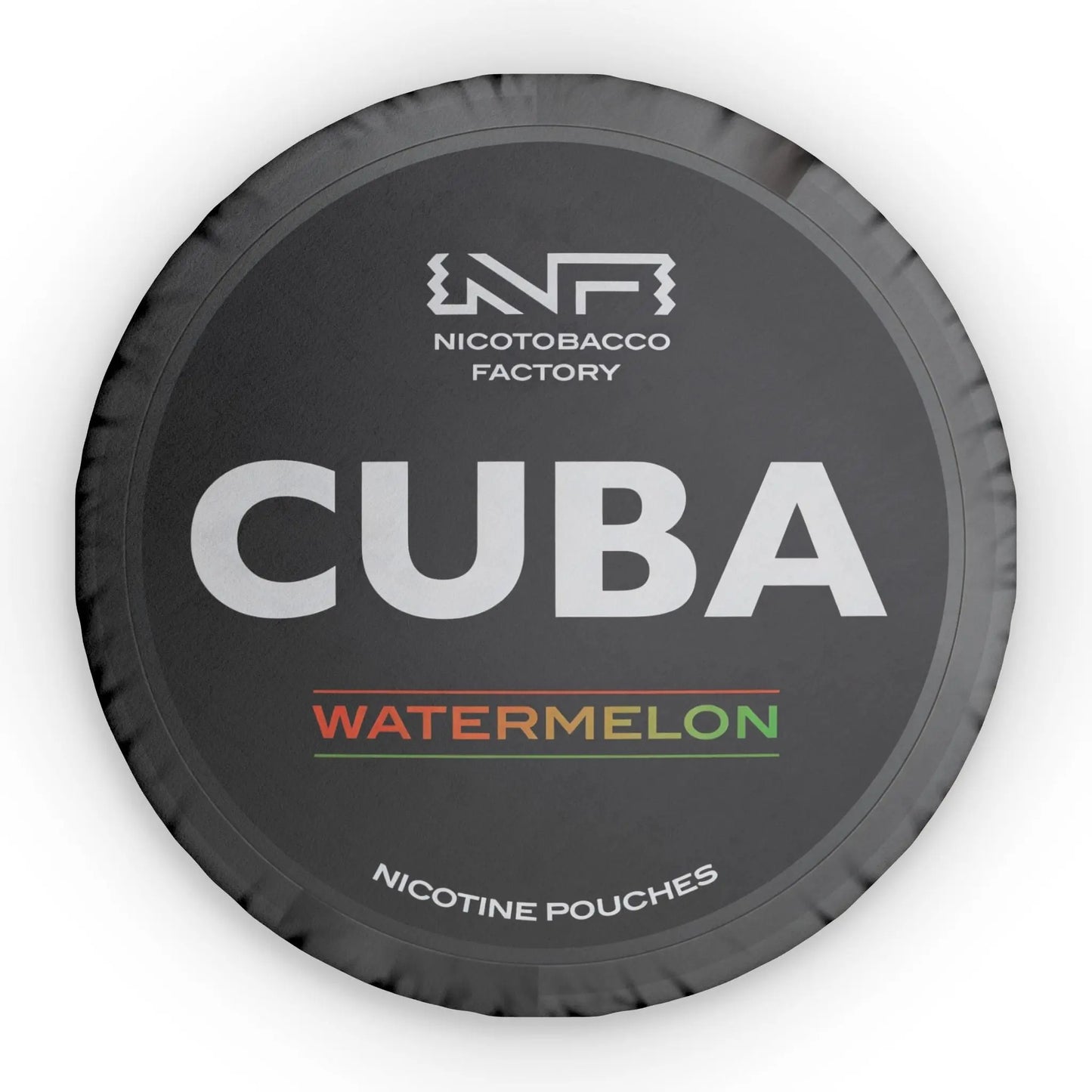 Cuba Watermelon Pillow Lip Pillows