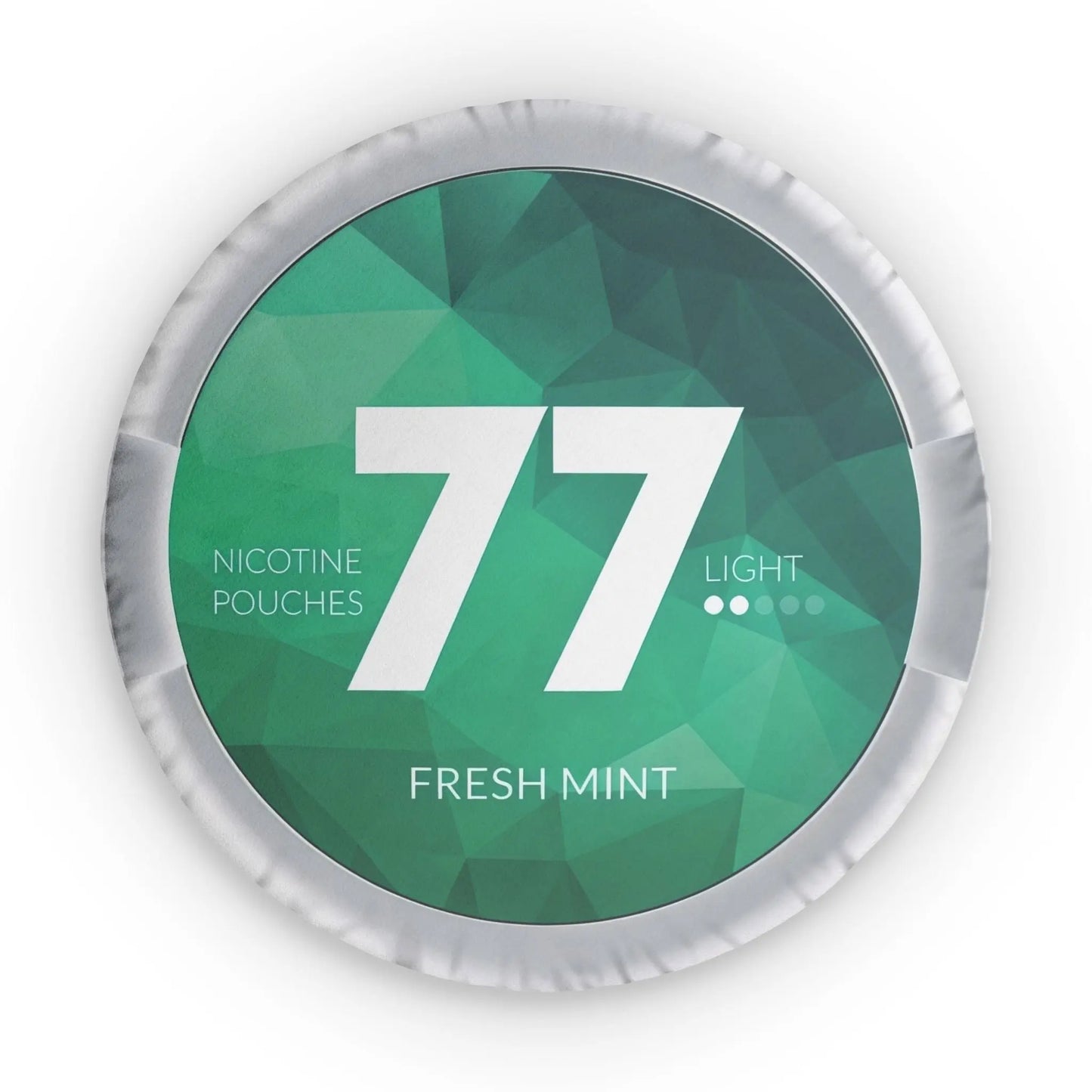 77 Fresh Mint Pillow Lip Pillows