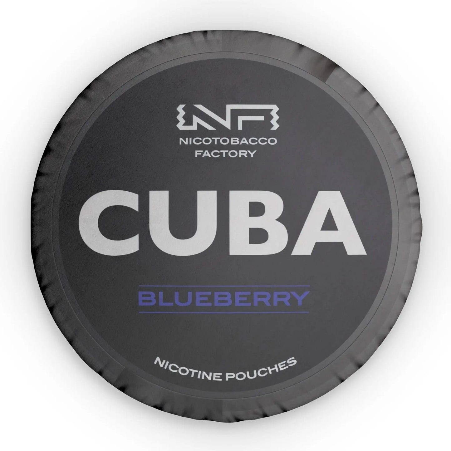 Cuba Blueberry Pillow Lip Pillows