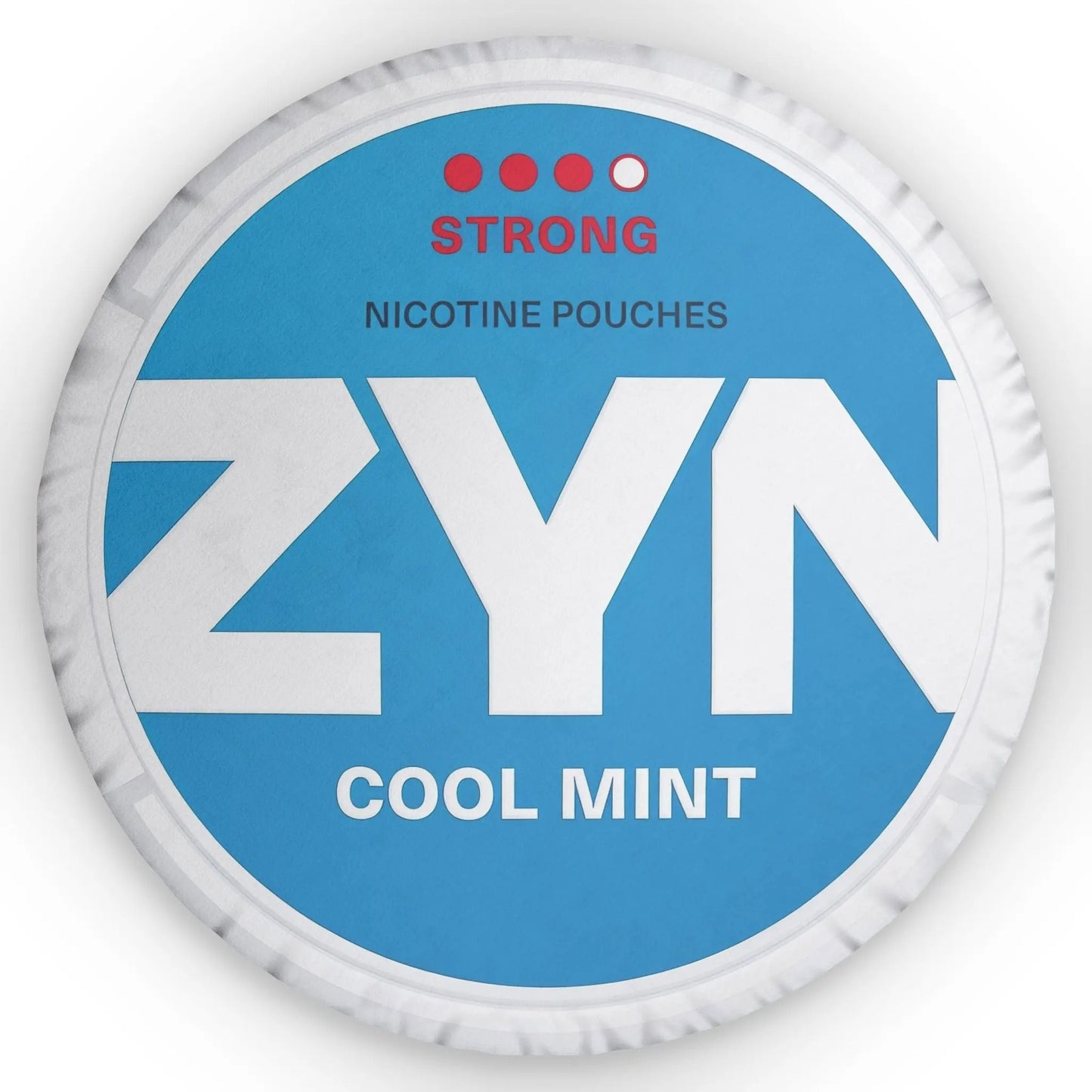 Zyn Cool Mint Pillow Lip Pillows