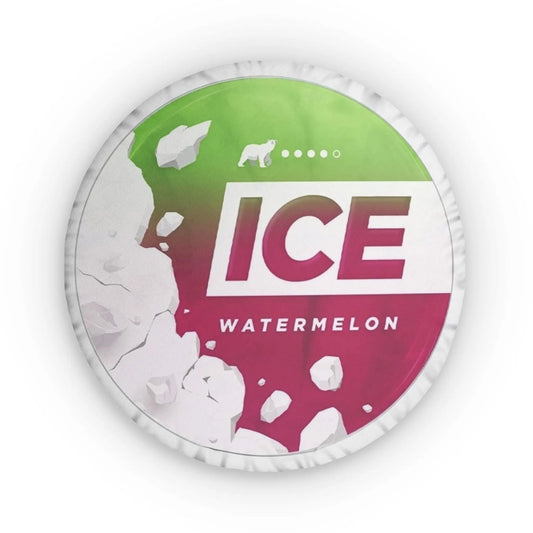 ICE Watermelon Pillow Lip Pillows