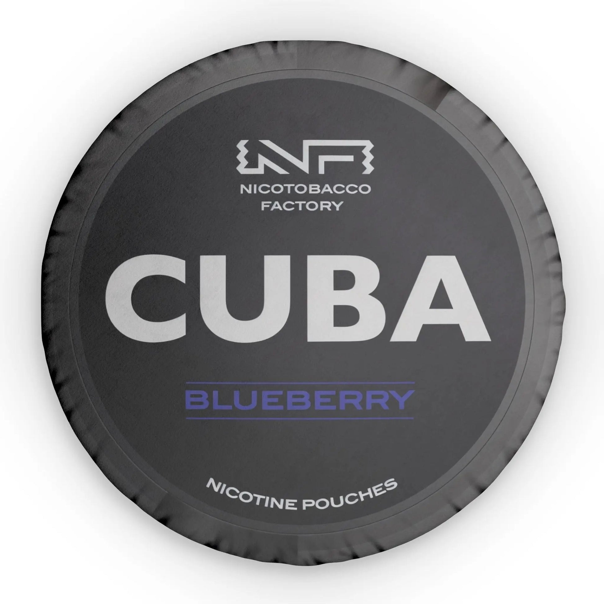 Cuba Blueberry Pillow Lip Pillows