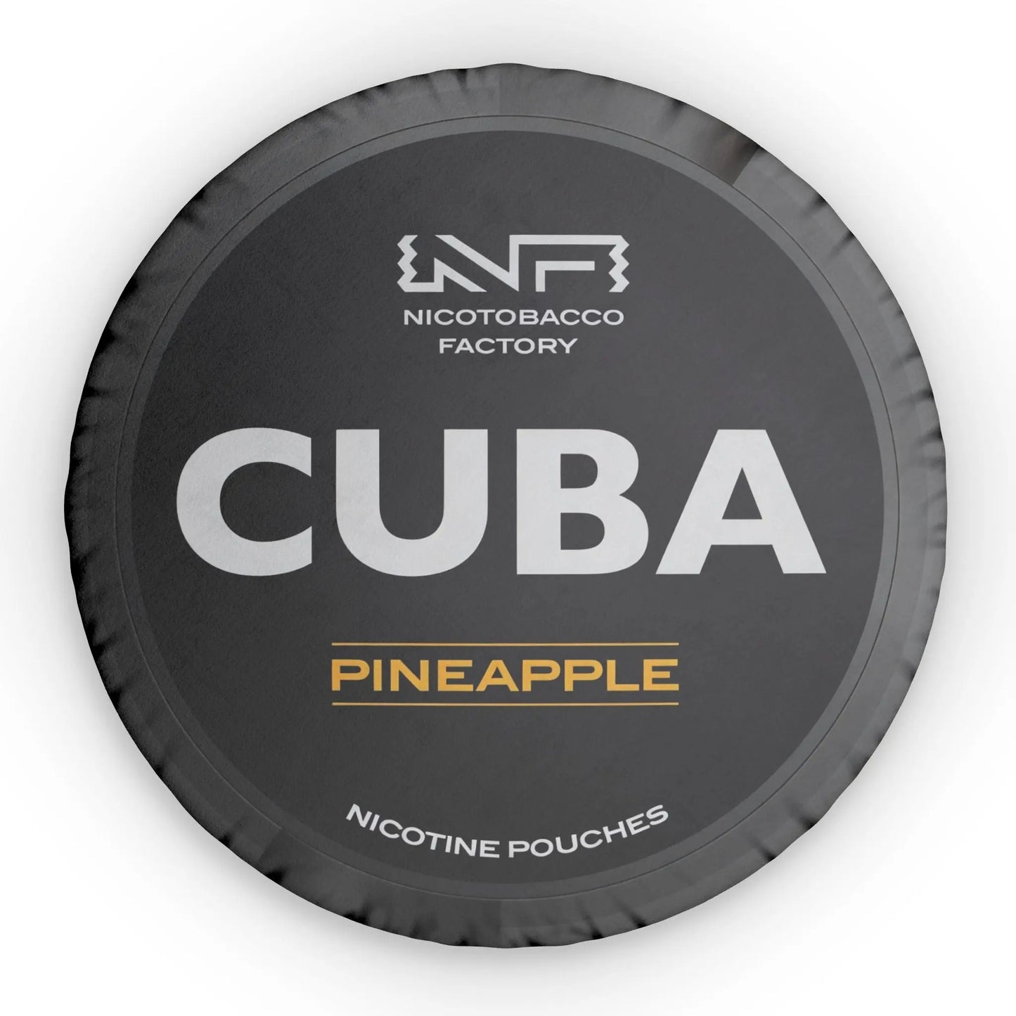 Cuba Pineapple Pillow Lip Pillows