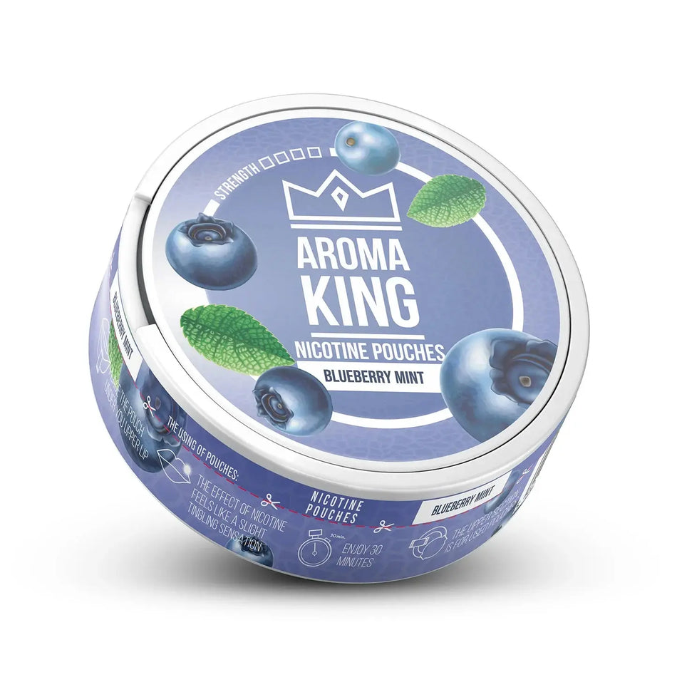 Aroma King - Blueberry Mint (120mg) SnusHaven