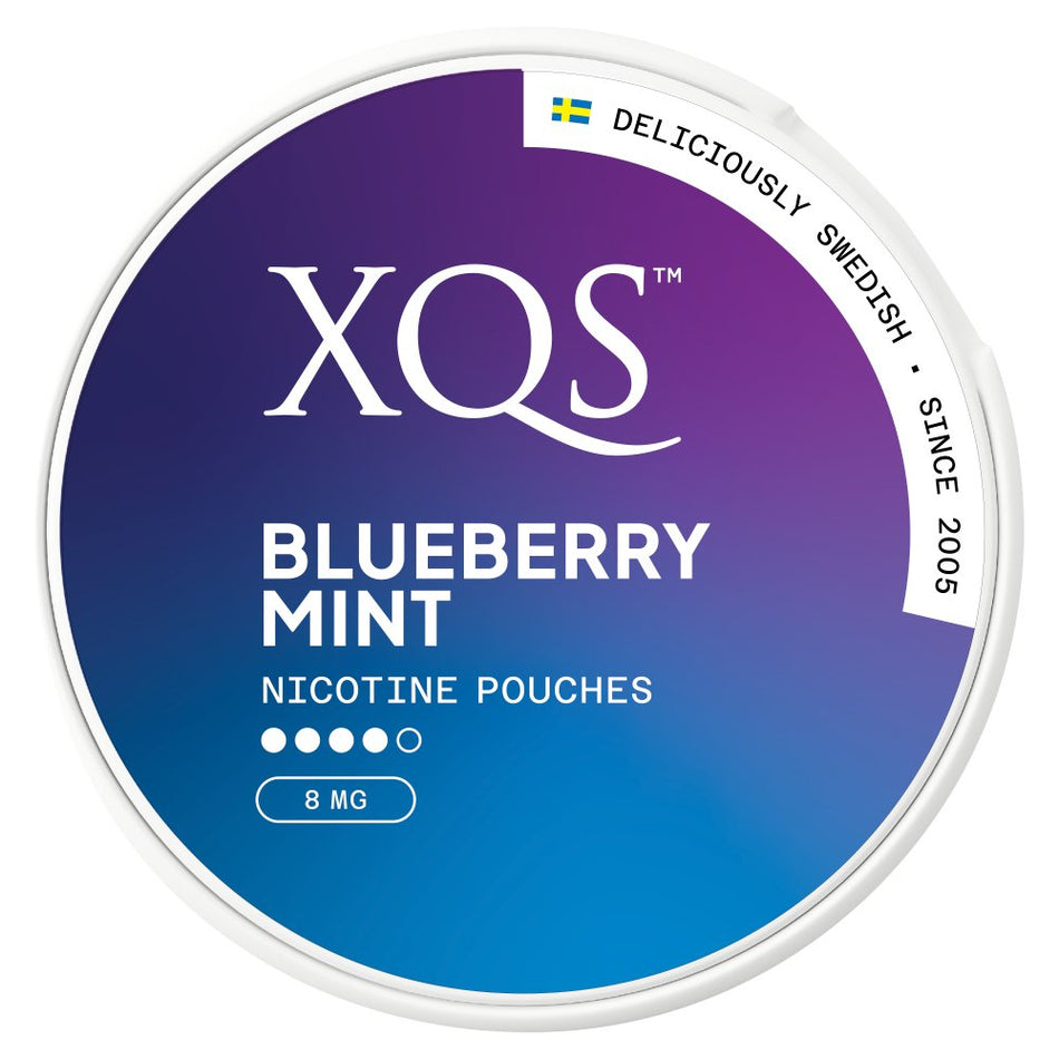 XQS - Blueberry Mint (8mg)