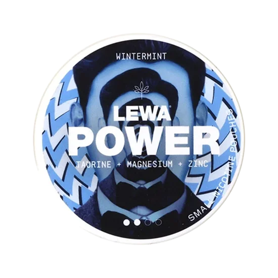 Lewa Power - Wintermint