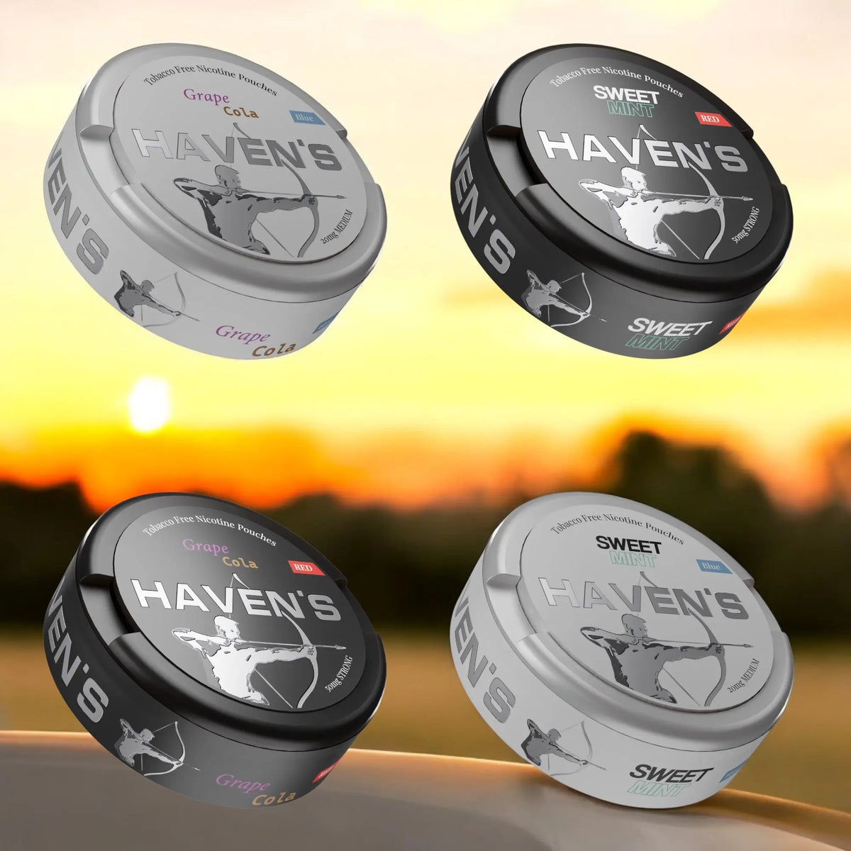 Haven`s Ultimate Bundle SnusHaven